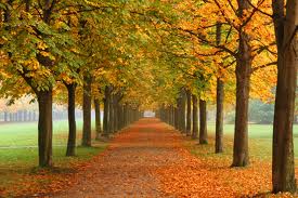 fall