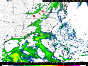 15z tue