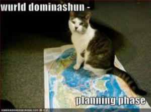 cat dominate