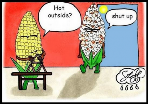 funny hot temp - Google Search - Mozilla Firefox 2014-06-15 10.51.55