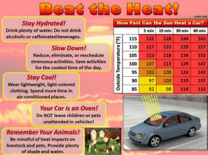 heat safety - Google Search - Mozilla Firefox 2014-06-29 11.03.34