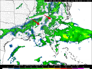 21z NAM