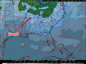 15z dew point