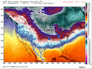 noon cold
