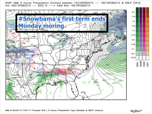 NAM Snowbama