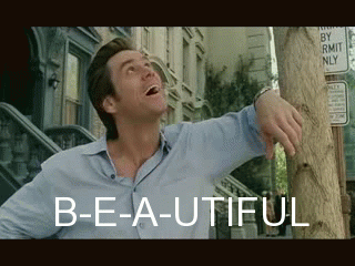 beautiful gif
