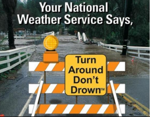 turn around don;t drown - Google Search - Mozilla Firefox 2015-03-05 10.58.29