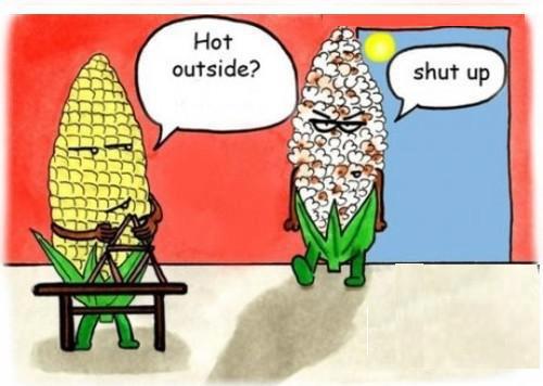Joke-Durban-weather-2013