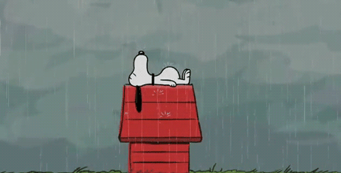 snoopy rain