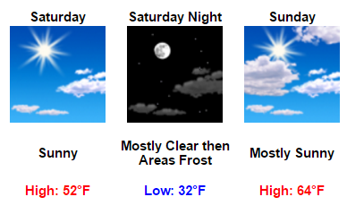 My Forecast - Google Chrome 2016-04-06 07.50.24