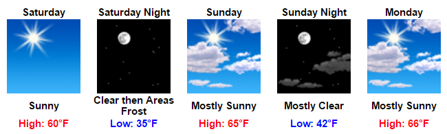 my-forecast-google-chrome-2016-11-10-06-32-19