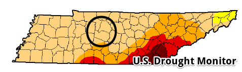 united-states-drought-monitor-_-home-_-state-drought-monitor-google-chrome-2016-11-04-09-09-37