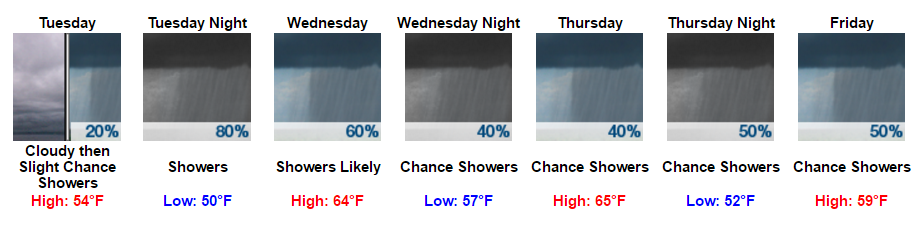 my-forecast-google-chrome-2017-01-09-14-55-06