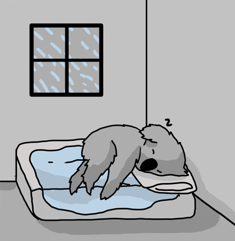 Good Night Sleeping GIF by Evan M Cohen - Find & Share on GIPHY