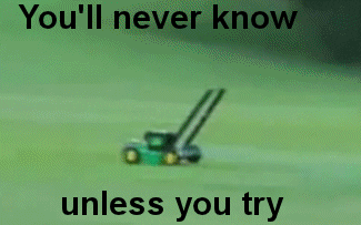 funny animated GIF