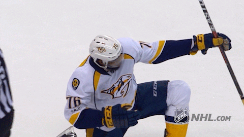 Ice Hockey 2017 Stanley Cup Playoffs GIF by NHL - Find & Share on GIPHY