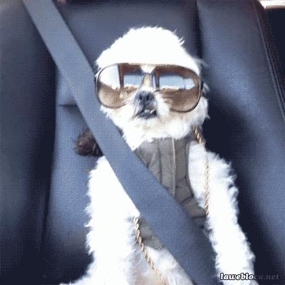 swag animated GIF