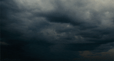 Disneynature Headlikeanorange animated GIF
