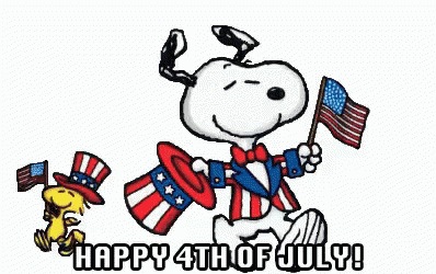 Image result for 4th of july gif