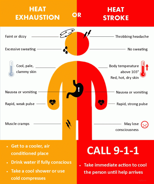 https://nashvillesevereweather.com/wp-content/uploads/2019/08/heatstroke-540x646.gif